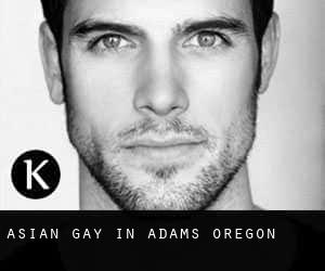 Asian Gay in Adams (Oregon)