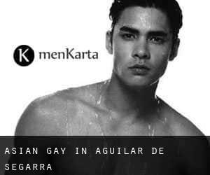 Asian Gay in Aguilar de Segarra