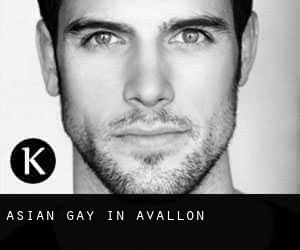 Asian Gay in Avallon