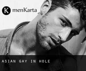 Asian Gay in Hole