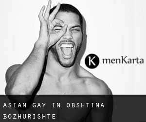 Asian Gay in Obshtina Bozhurishte