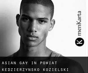 Asian Gay in Powiat kędzierzyńsko-kozielski