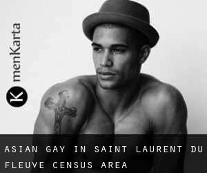 Asian Gay in Saint-Laurent-du-Fleuve (census area)