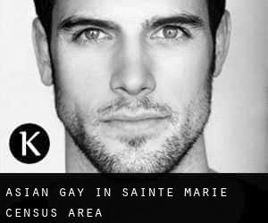 Asian Gay in Sainte-Marie (census area)