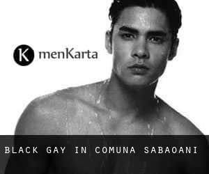 Black Gay in Comuna Săbăoani