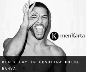 Black Gay in Obshtina Dolna Banya