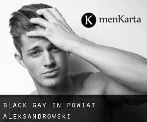Black Gay in Powiat aleksandrowski