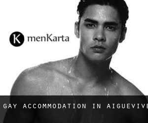Gay Accommodation in Aiguevive
