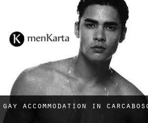 Gay Accommodation in Carcaboso