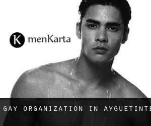 Gay Organization in Ayguetinte
