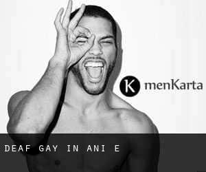 Deaf Gay in Ani-e