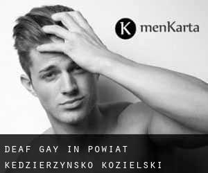 Deaf Gay in Powiat kędzierzyńsko-kozielski