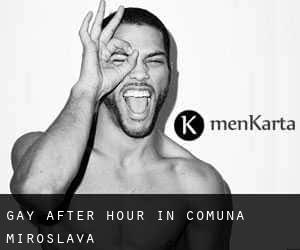 Gay After Hour in Comuna Miroslava