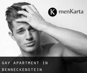 Gay Apartment in Benneckenstein