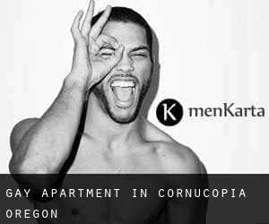 Gay Apartment in Cornucopia (Oregon)