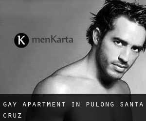 Gay Apartment in Pulong Santa Cruz