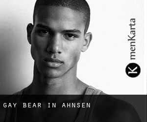 Gay Bear in Ahnsen