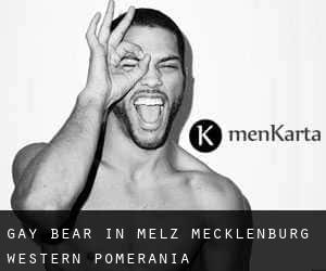 Gay Bear in Melz (Mecklenburg-Western Pomerania)
