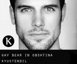 Gay Bear in Obshtina Kyustendil
