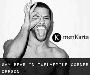 Gay Bear in Twelvemile Corner (Oregon)