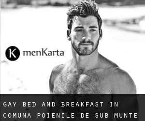 Gay Bed and Breakfast in Comuna Poienile de sub Munte