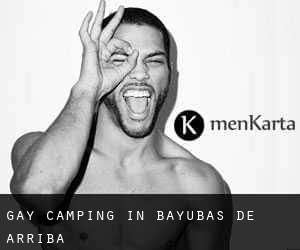 Gay Camping in Bayubas de Arriba