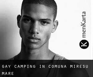 Gay Camping in Comuna Mireşu Mare