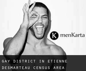 Gay District in Étienne-Desmarteau (census area)