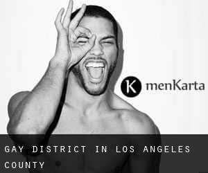 Gay District in Los Angeles County