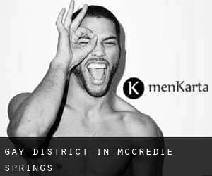 Gay District in McCredie Springs