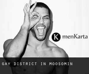 Gay District in Moosomin