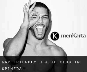 Gay Friendly Health Club in Spineda