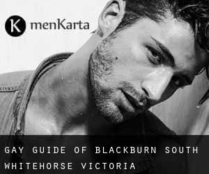 gay guide of Blackburn South (Whitehorse, Victoria)