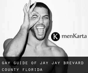 gay guide of Jay Jay (Brevard County, Florida)