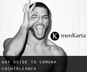 gay guide to Comuna Cochirleanca