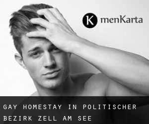 Gay Homestay in Politischer Bezirk Zell am See