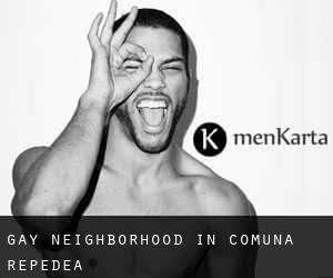 Gay Neighborhood in Comuna Repedea