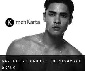 Gay Neighborhood in Nišavski Okrug