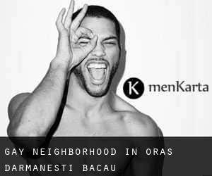 Gay Neighborhood in Oraş Dãrmãneşti (Bacău)