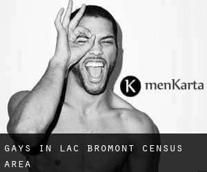 Gays in Lac-Bromont (census area)