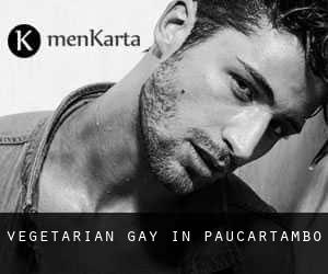 Vegetarian Gay in Paucartambo