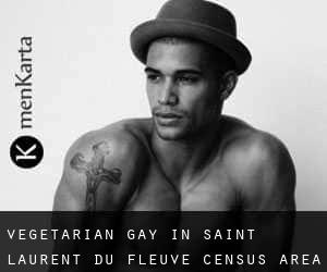 Vegetarian Gay in Saint-Laurent-du-Fleuve (census area)